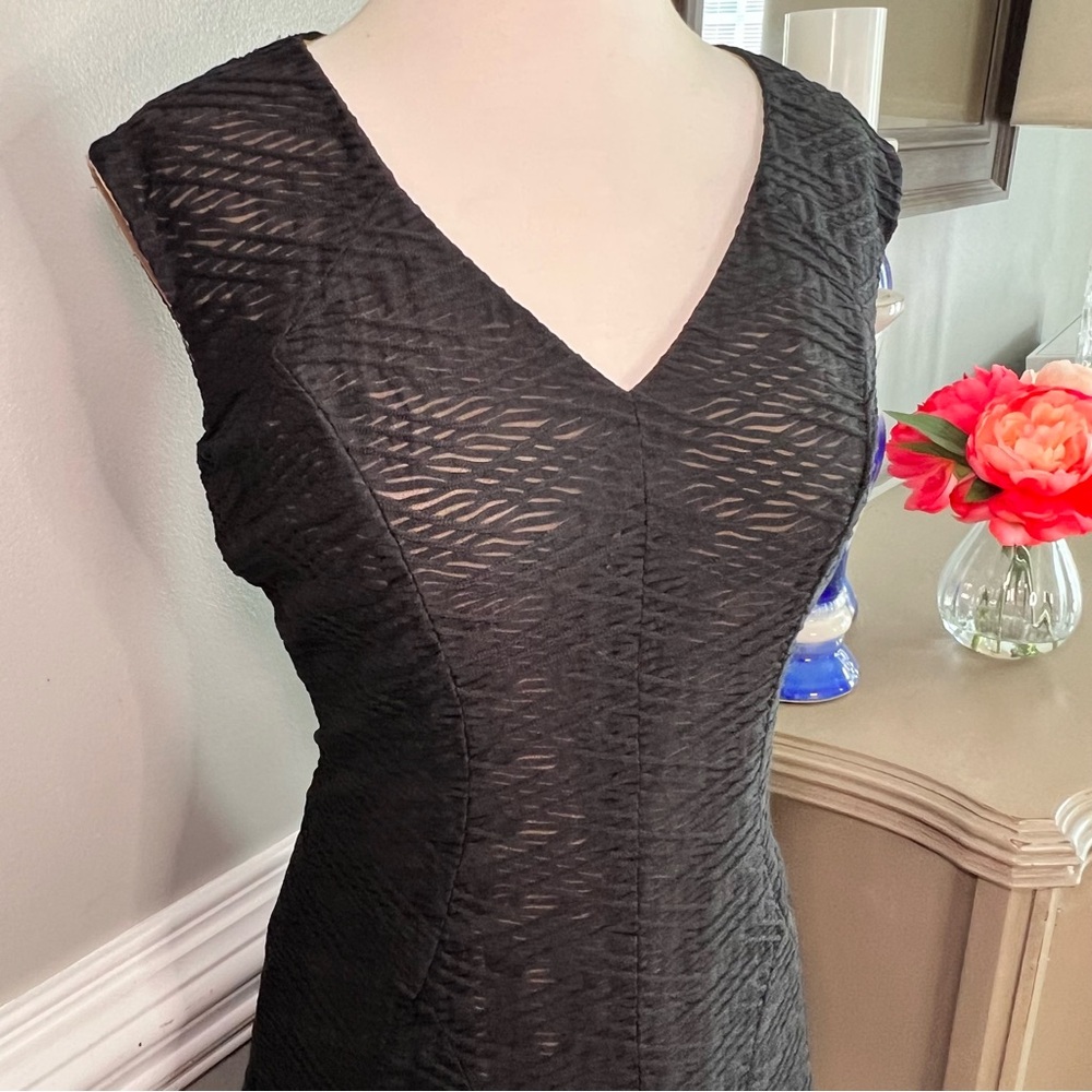 EUC Size 4 Jones New York Black Lace Dress w/ Nude Lining Little Black Dress 030